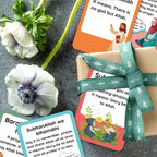 Tarjetas de expresiones árabes cotidianas — 21 tarjetas